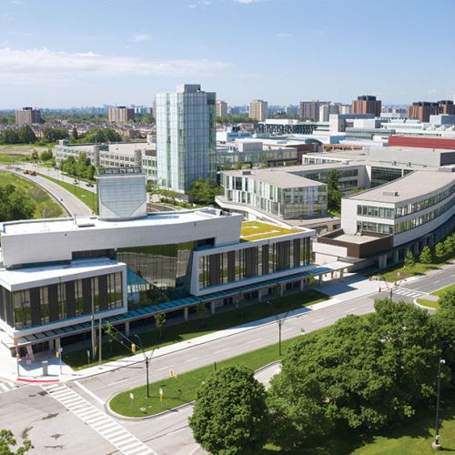York Universiteti